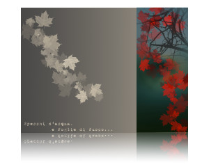 arredamento design biella ivrea torino